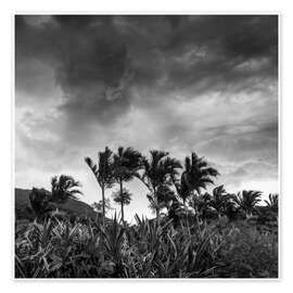 Kunstwerk  A stormy tropical scene in paradise of Brazil. - Alex Saberi