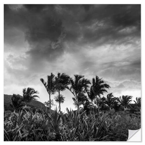 Selvklebende plakat A stormy tropical scene in paradise of Brazil.