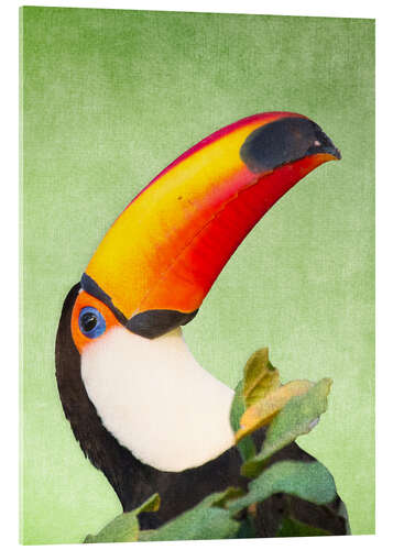 Quadro em acrílico A colourful toucan bird on a tropical background.