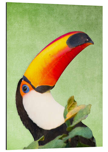 Aluminium print A colourful toucan bird on a tropical background.