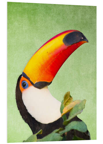 Foam board print A colourful toucan bird on a tropical background.