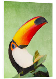 Foam board print A colourful toucan bird on a tropical background.