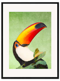 Framed art print A colourful toucan bird on a tropical background.