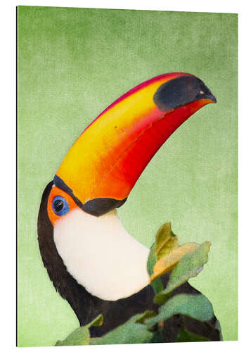 Gallery print A colourful toucan bird on a tropical background.