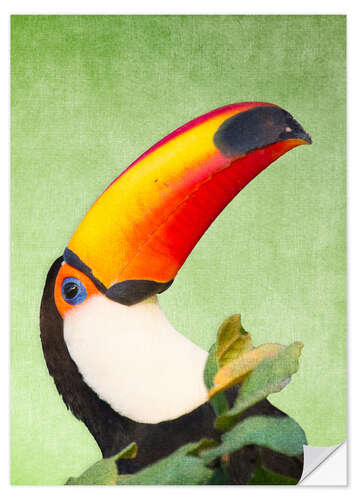 Naklejka na ścianę A colourful toucan bird on a tropical background.