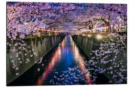 Magnettafel Kirschblütenfest in Nakameguro, Tokio, Japan