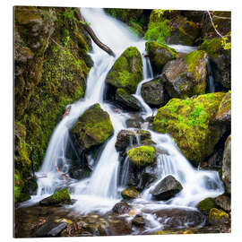 Tableau en plexi-alu Waterfall in the forest near Triberg, Black Forest