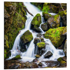 Magnettafel Wasserfall im Wald bei Triberg, Schwarzwald