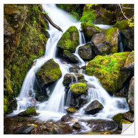 Wall sticker Waterfall in the forest near Triberg, Black Forest