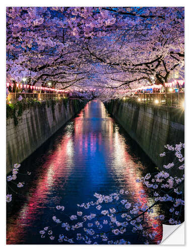 Selvklebende plakat Nakameguro sakura festival in Tokyo, Japan