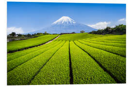 PVC-taulu Tea plantation with Mount Fuji in Shizuoka, Japan