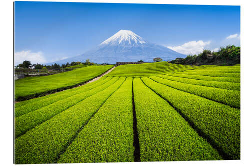 Gallery print Tea plantation with Mount Fuji in Shizuoka, Japan