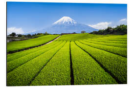 Magnettafel Teeplantage mit Berg Fuji in Shizuoka, Japan