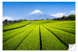 Selvklebende plakat Tea plantation with Mount Fuji in Shizuoka, Japan