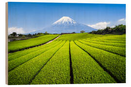 Cuadro de madera Tea plantation with Mount Fuji in Shizuoka, Japan