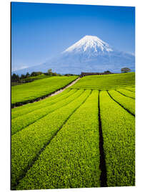 Aluminium print Tea Plantation and Mount Fuji in Shizuoka, Japan