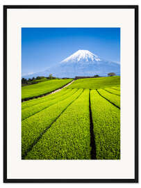 Gerahmter Kunstdruck Teeplantage und Berg Fuji in Shizuoka, Japan