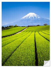 Naklejka na ścianę Tea Plantation and Mount Fuji in Shizuoka, Japan