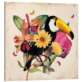 Quadro em alumínio Oh My Parrot XII - Mandy Reinmuth