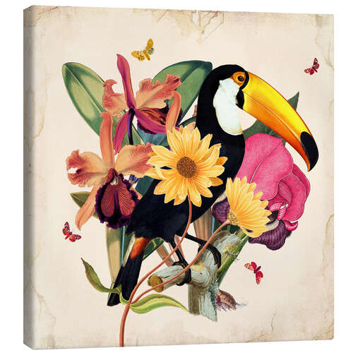 Canvas-taulu Oh My Parrot XII