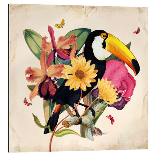 Gallery print Oh My Parrot XII