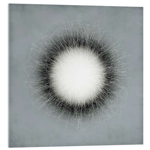 Quadro em acrílico Ergo Sum (grey)