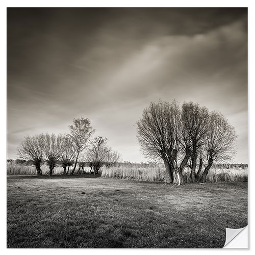 Vinilo para la pared Winter river landscape