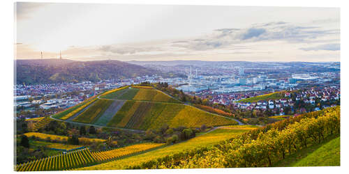 Tableau en verre acrylique Vineyards in Stuttgart