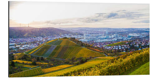 Stampa su alluminio Vineyards in Stuttgart