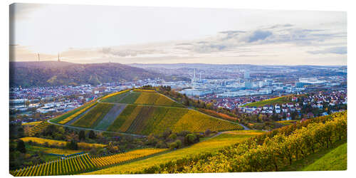 Lerretsbilde Vineyards in Stuttgart