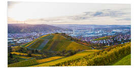 PVC print Vineyards in Stuttgart