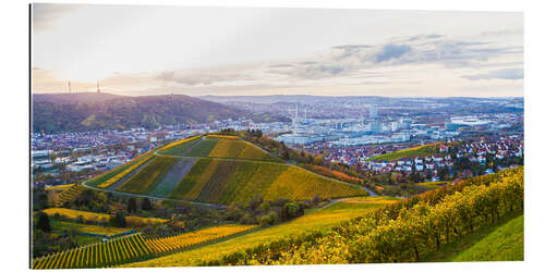 Galleriataulu Vineyards in Stuttgart