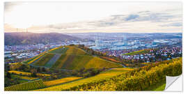 Muursticker Vineyards in Stuttgart