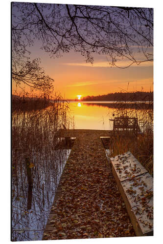 Aluminiumsbilde Autumn light at Schaalsee