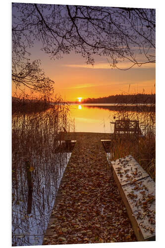 Foam board print Autumn light at Schaalsee