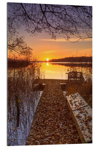 Tableau en plexi-alu Autumn light at Schaalsee