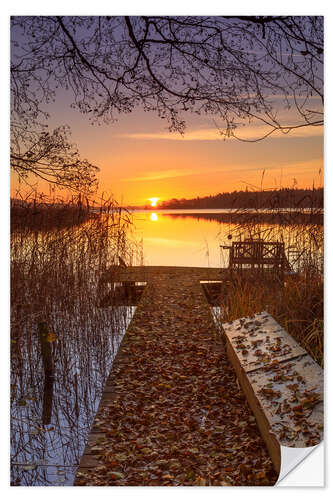 Vinilo para la pared Autumn light at Schaalsee