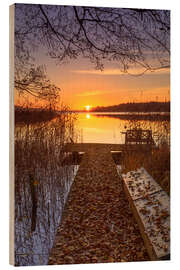 Print på træ Autumn light at Schaalsee