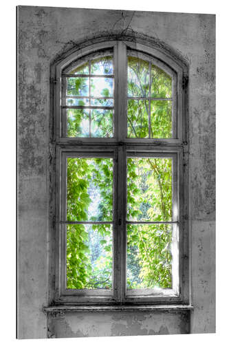 Gallery print Window hope