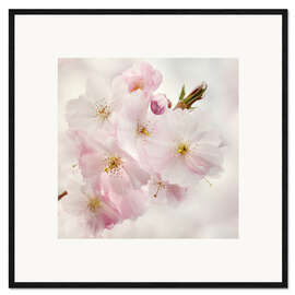 Inramat konsttryck Cherry blossom II