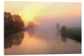 Acrylglasbild Sonnenaufgang, Nebel und Bäume