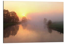 Cuadro de aluminio Sunrise, Fog and trees