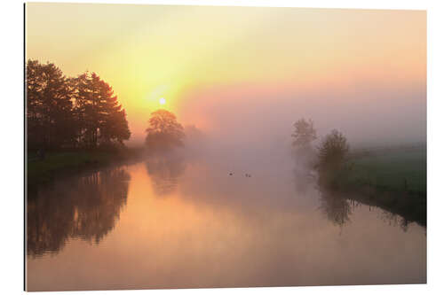 Gallery print Sunrise, Fog and trees