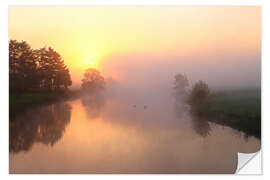 Wall sticker Sunrise, Fog and trees