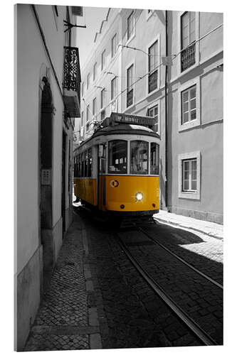 Acrylglasbild Lisbon Tram