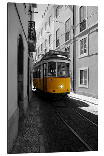 Gallery print Lisbon Tram