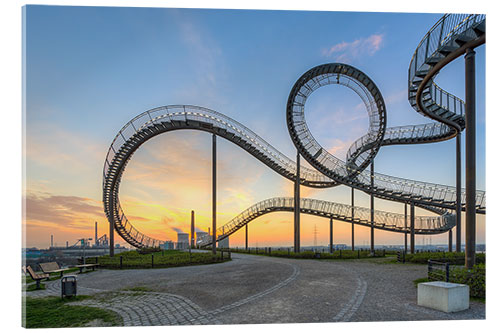 Acrylglasbild Tiger and Turtle Duisburg