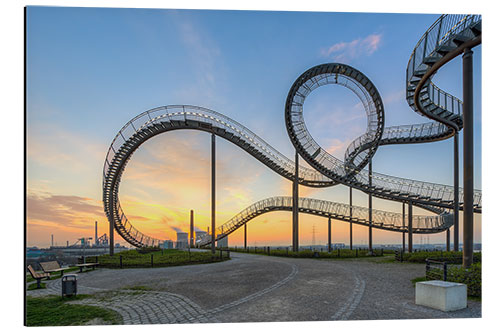 Tableau en aluminium Tiger and Turtle à Duisbourg