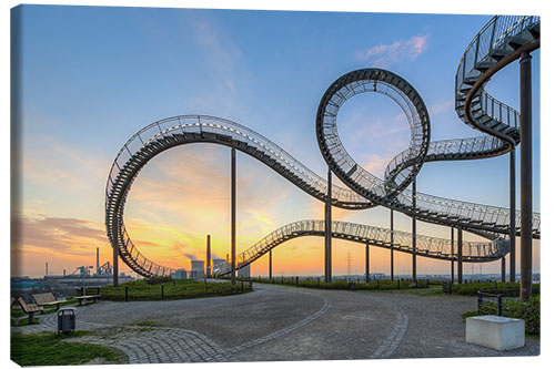 Lienzo Tiger and Turtle Duisburg