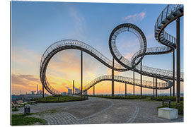 Gallery print Tiger and Turtle Duisburg